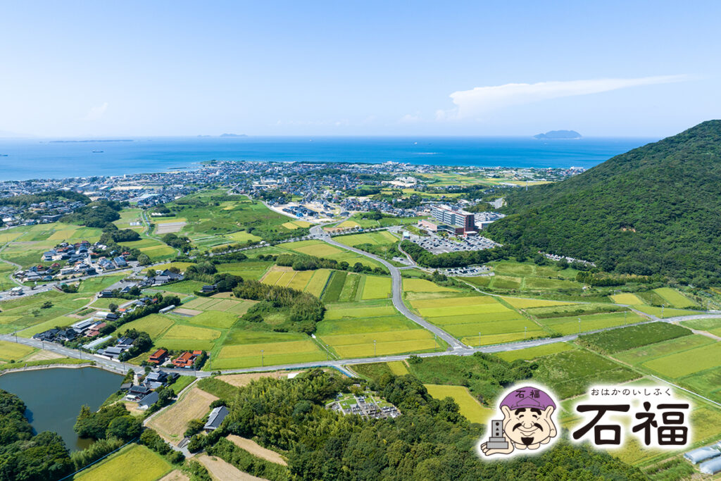 安岡地区蒲生野おはかのいしふく墓地